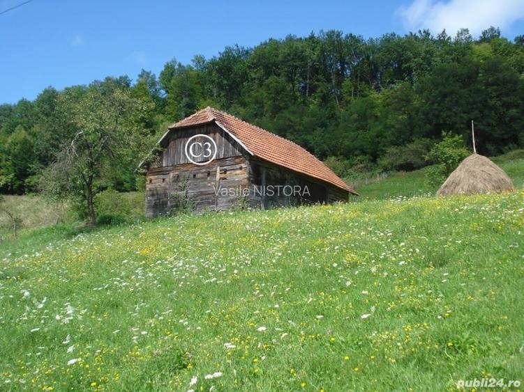 Vând proprietate (casă, șurā și 14368mp teren) în Valea Bradului, jud. Hunedoara - 5