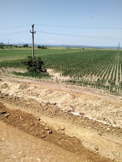 Teren Oarja de 8 400 mp, langa Pasarela A1, 5,5 euro/mp la Pretul 46 200 Euro. - 7