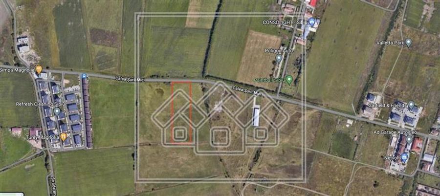 Teren intravilan de 10.000 mp, Calea Surii Mici