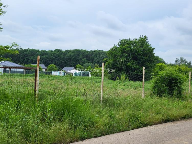 Teren Snagov – frumusețea calmă a lacului și liniștea pădurii. - 5