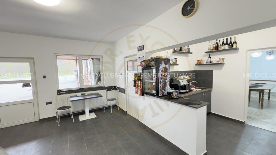 Afacere la cheie-Spalatorie, Vulcanizare Auto, Lac Agrement-Loc.Tasnad Jud. SM - 5