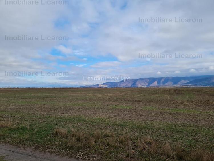 Teren extravilan 2,9 HA,intre Cristian si Vulcan - 5