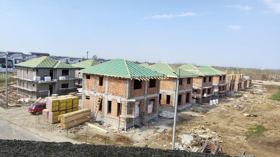 Vile individuale padurea Rosu - 2