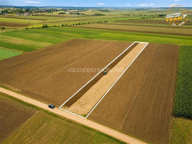 FILM! In areal linistit, acces facil, 4.200 mp  teren extravilan, Covasna - 3