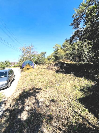 CASA + teren intravilan,  comuna BODESTI - 8