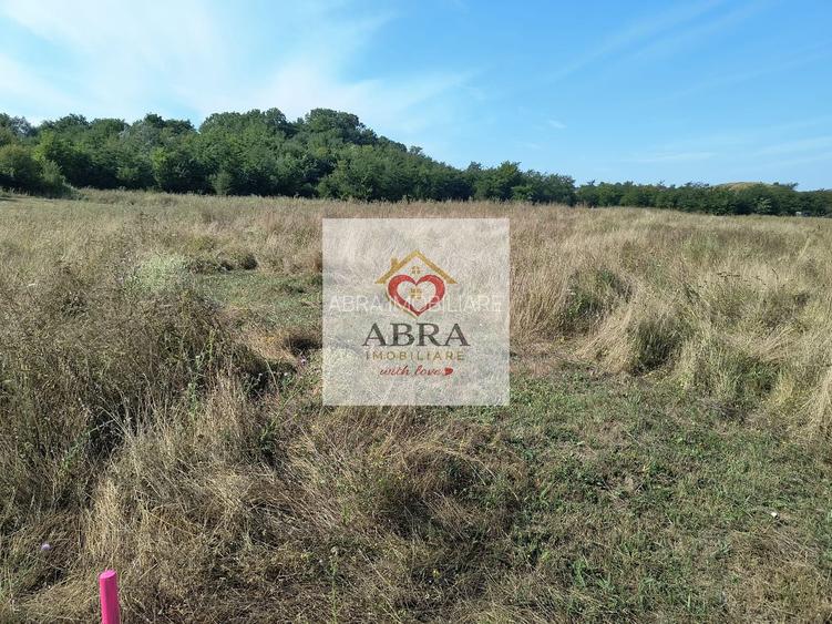 Teren intravilan investitie - 5