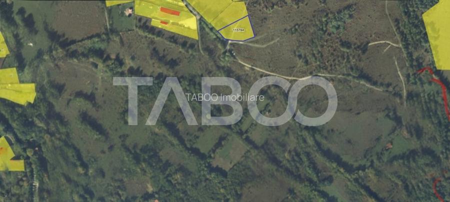 Teren intravilan 2050m acces auto zona turistica Valea Avrigului - 3