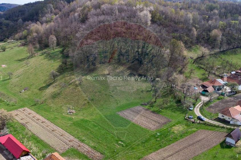 Teren partial intravilan 2,984mp Baru ,jud.Hunedoara - 8