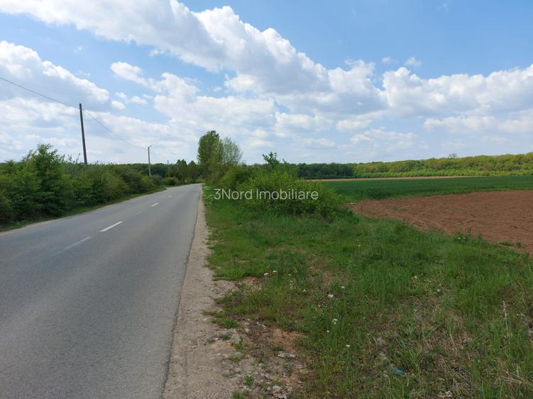 SCROVISTEA, TEREN INTRAVILAN, 3,5 HA – 75 ML FRONT STRADAL + 75 ML LA PĂDURE - 4