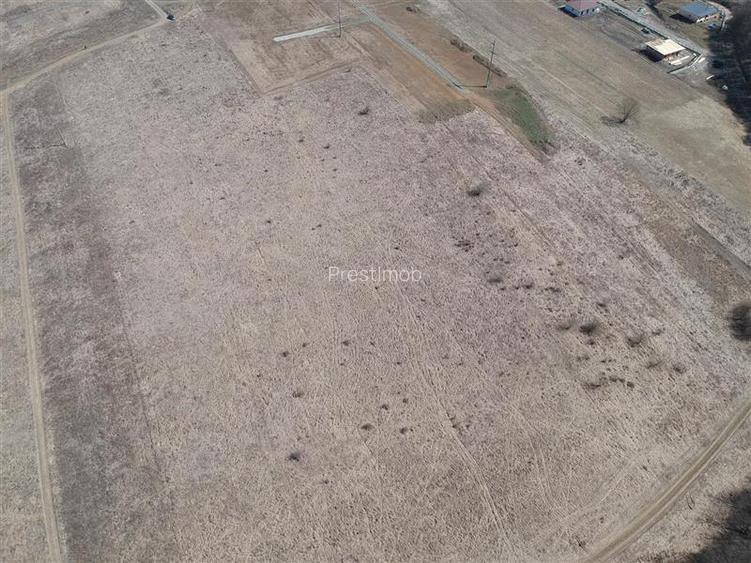 Teren de vanzare extravilan 34.229 mp, E60 Corunca - 4