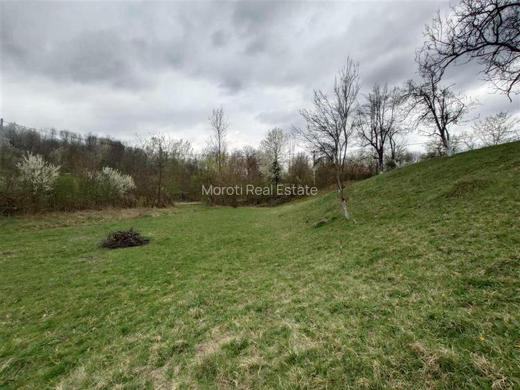 10 000 mp teren intravilan cu priveliste - 4