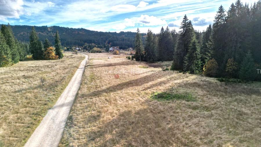 Poiana lui Manole - teren Intravilan - 23