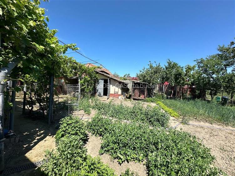 Casa Cocheta, Locuibila imediat,  cu Gradina si Curte,1500mp., Com.Birda. - 27