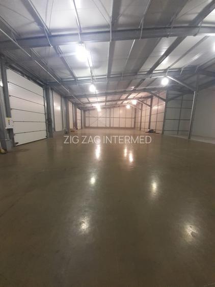 Ovidiu, EUROHALA, 720 mp., deschidere DN, standarde europene - 4