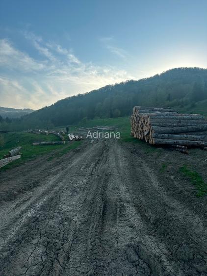 Teren intravilan în Marginea  - 8