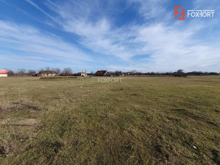 COMISION 0% Teren intravilan 6400 mp la drum asfaltat - Padureni - 13