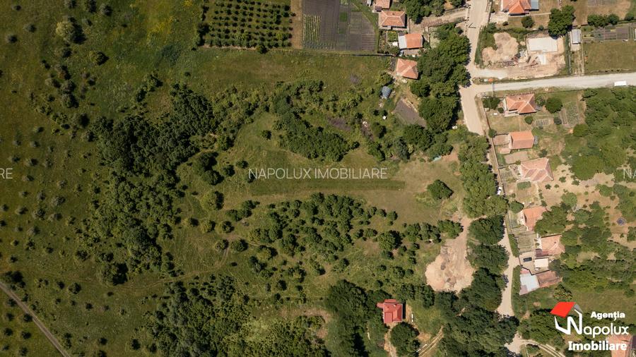 Exclusivitate! Teren pentru investitie - 3