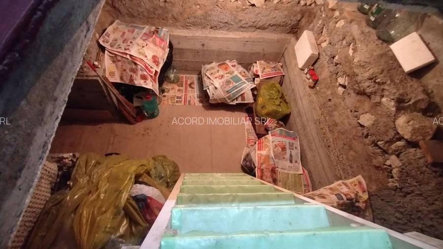 Casă, gradină, teren mare - Palazu Mare - 9