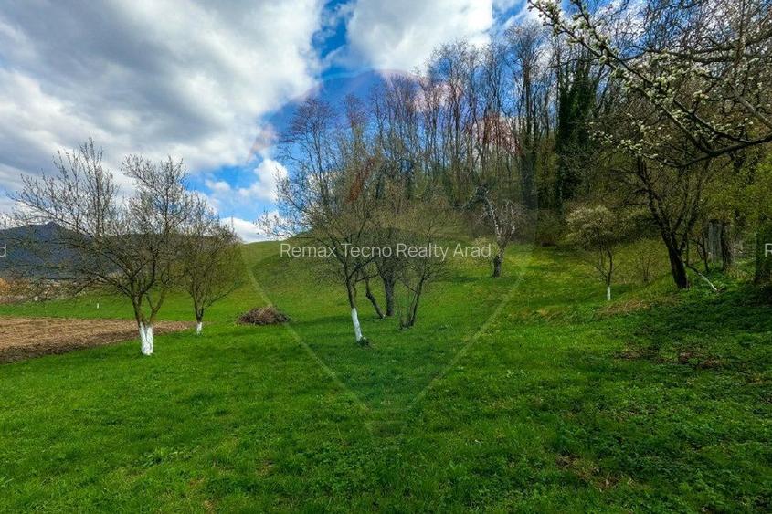 Teren partial intravilan 2,984mp Baru ,jud.Hunedoara - 5