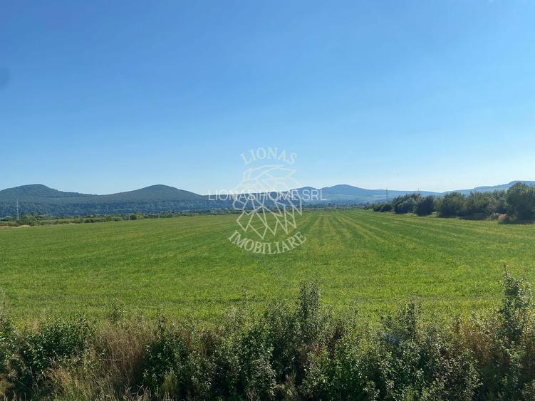 Teren 13400mp la DN 17-parcelabil Podirei - 2