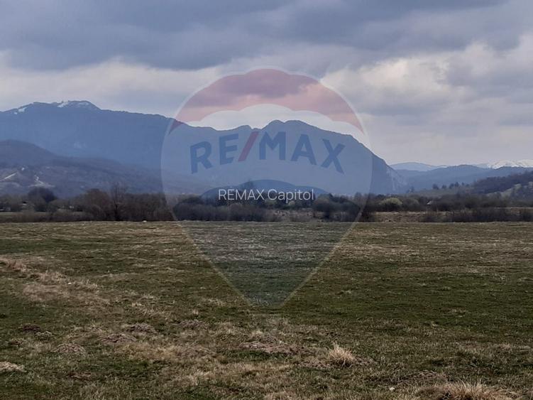 Teren 10,000mp Rasnov / Drumul Panicel - 8