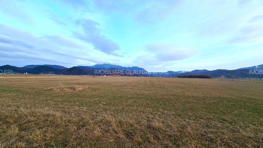 TEREN 5000  mp EXTRAVILAN LANGA SENS GIRATORIU RASNOV - PANICEL - 5