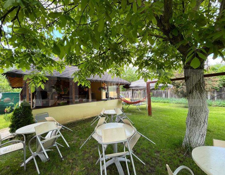 Casa P + M 369 mp utili, teren 1.515 mp, foisor, Leamna de Sus - 4