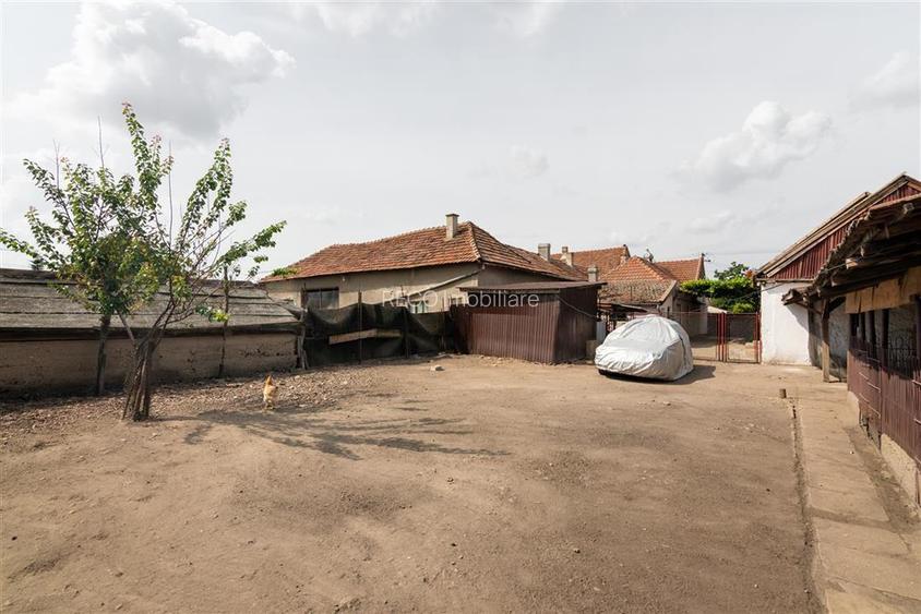 Teren mare cu 2 case si front la 2 strazi in Tamaseu - 29