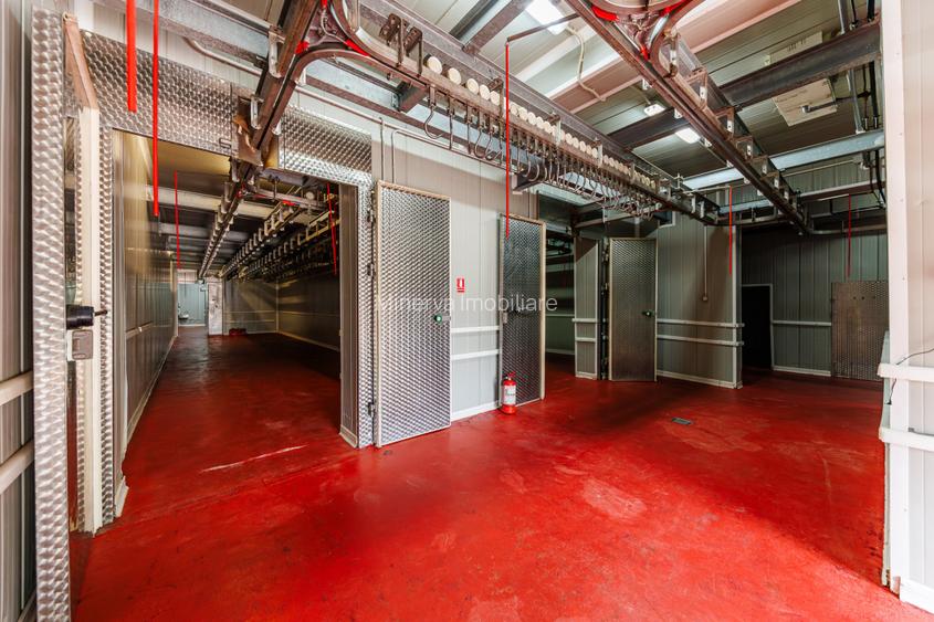 Hala depozitare, Dumbravița Timis, 1285 mp, Farma GDP Medical Cosmetice 6000 Eur - 8