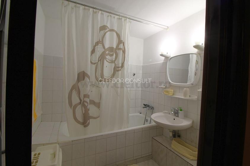 Teiul Doamnei - apartament cu 2 camere renovat 2018 - 13