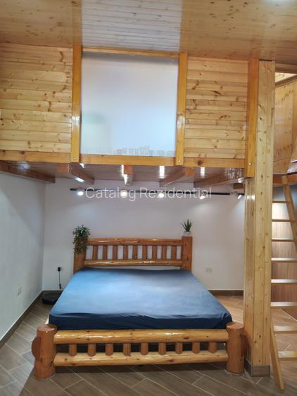 Imobil format din 2 corpuri individuale,un singur proprietar, zona Iancului - 15