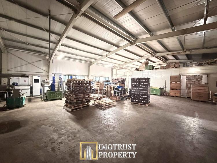 Hala industrială de vanzare Arad 540 mp, depozitare la rece, acces TIR - 5