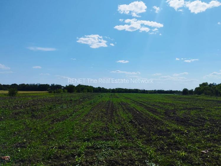 MEGA OCAZIE SE VINDE TEREN 10.600 DE METRI LA PRET DE 6.600 CU DESCHIDRE LA LAC - 8