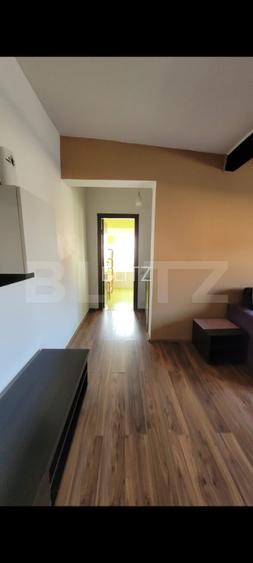 Apartament cu 2 camere, semidecomandat, etaj 3/3,  cu parcare, zona Muzeul Apei - 11