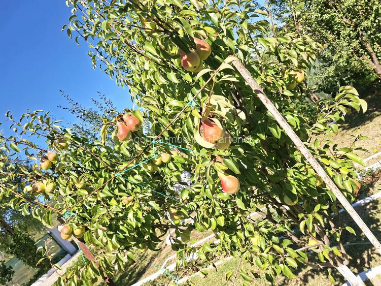 Casă / Vilă Bascov , construcție "de proprietar" , mobilată/utilată ! - 22