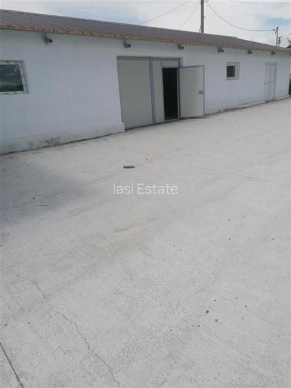 Hala 550mp zona Lunca Cetatuii - Dumbrava - 3