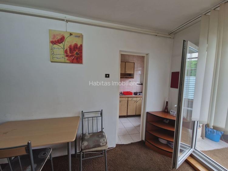 Garsoniera de inchiriat pe str Loius Pasteur - 12