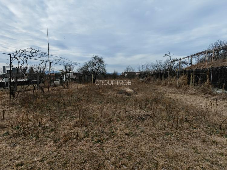 Teren constructii langa oras, Letea-Veche - 3