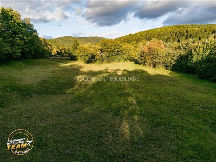 FILM! Teren extravilan, Ojdula, 4.800 mp, zona pitoreasca - 4