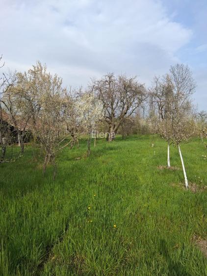Teren intravilan cu casa batraneasca - 3