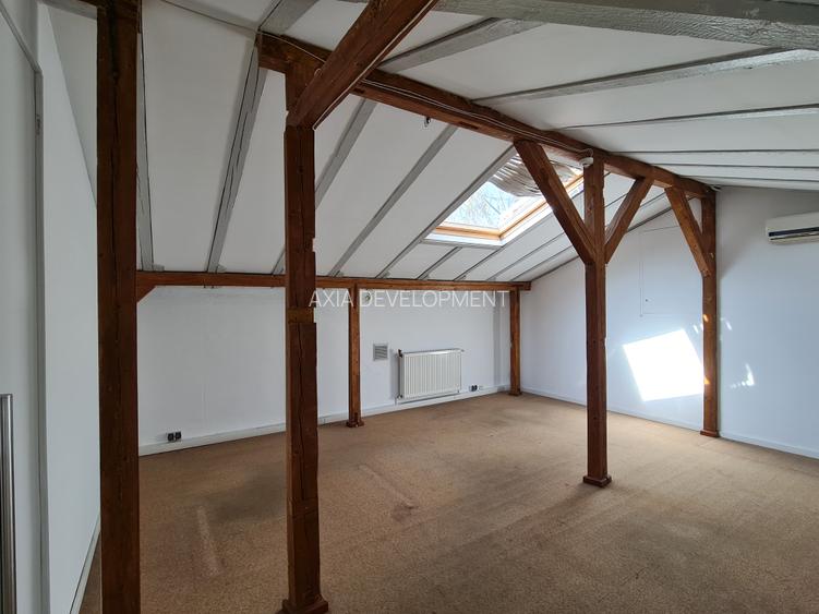 Vila Kiseleff - sediu ambasada, sediu reprezentativ - 13