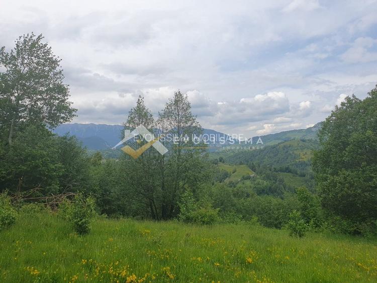 Investitie Teren intravilan 11.396 mp Moieciu de Jos - 3