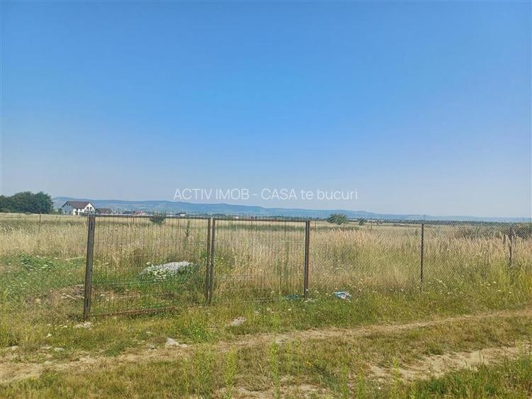 Teren intravilan de vanzare cu fantana si curent electric pe teren - 5