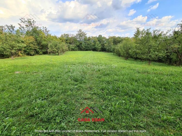 ●Teren intravilan in Poiana Campina,zona retrasa,3287 mp,10e● - 4