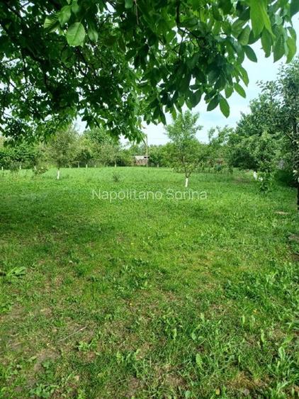 Vand 3413 mp teren intravilan - 4