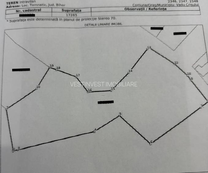 Teren intravilan 17,265 mp in Tomnatic comuna Vadu Crisului - 7