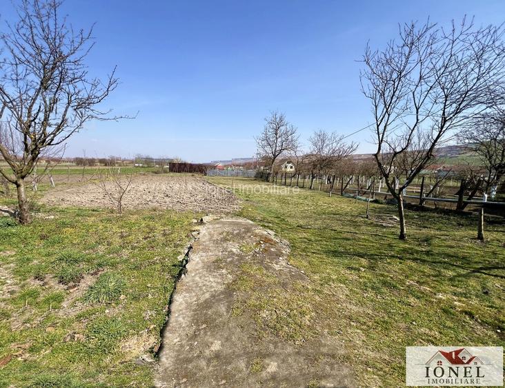 Vanzare casa in Santimbru - Totoi - 10