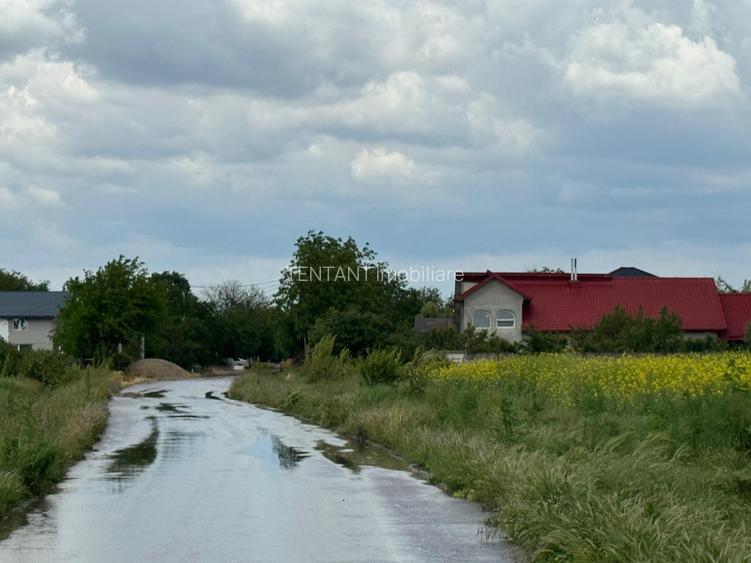 Vanzare Teren  intravilan 8000mp Adunati Copaceni Giurgiu - 3
