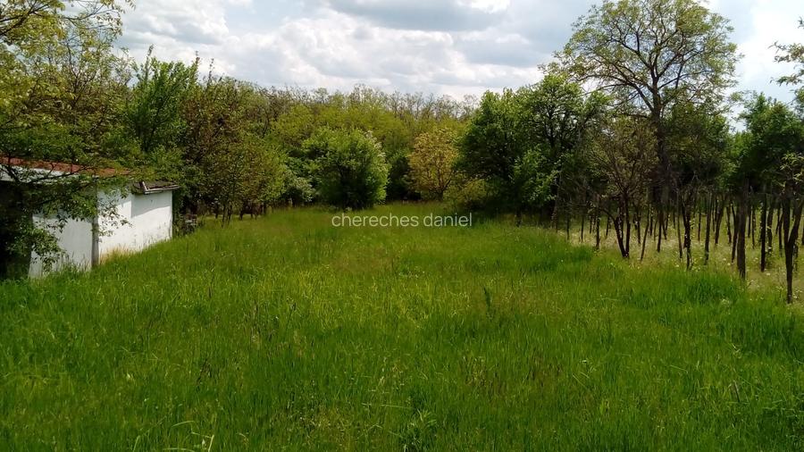 Teren intravilan Ardud Vii - 4