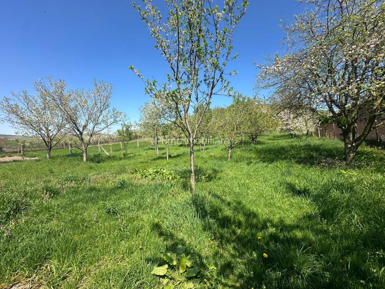 Casa Individuală 120 mp, 4 camere| teren 2.327 mp| zona Bucerdea Granoasa - 13